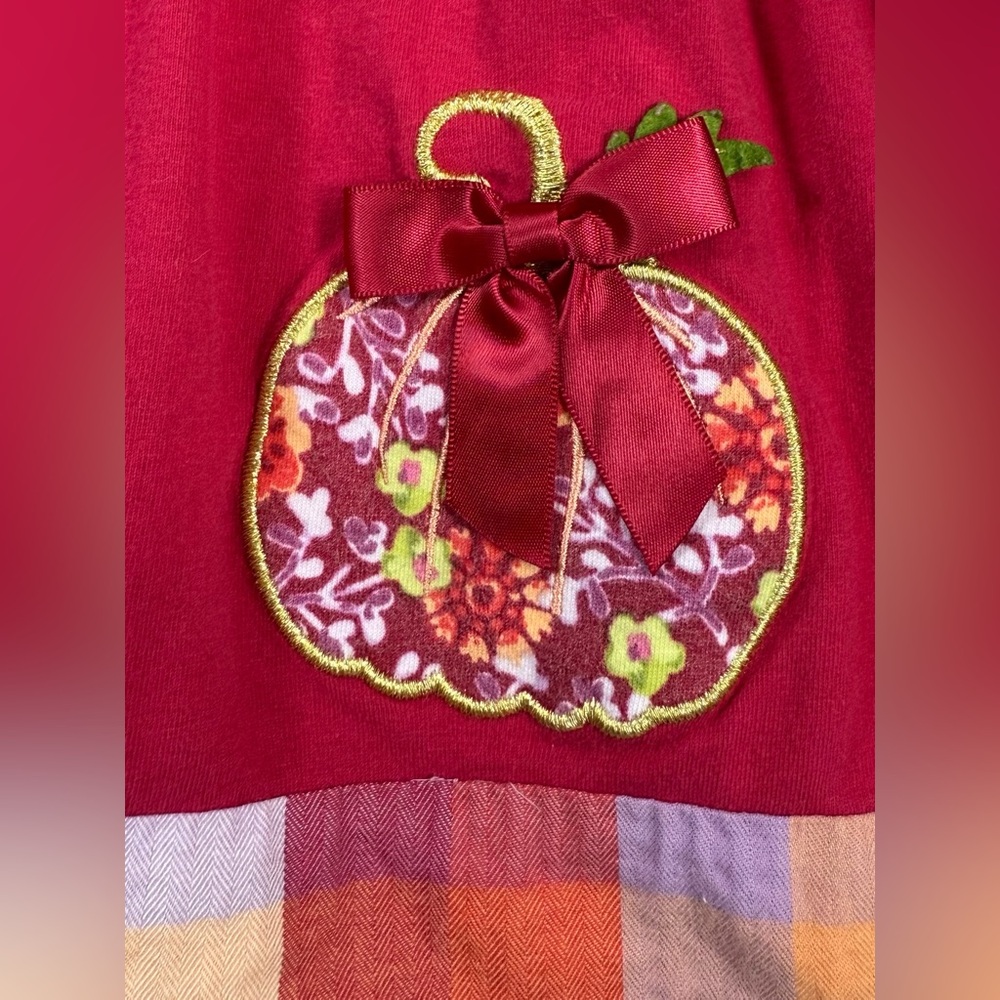 BONNIE BABY Girls' Autumn Thanksgiving Pumpkin Applique Mixed Print Dress 24M - Picture 8 of 10